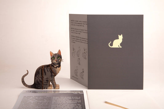 Gato - Tarjeta de felicitación decorativa 3D