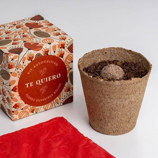 Díselo con flores "Te Quiero"💐