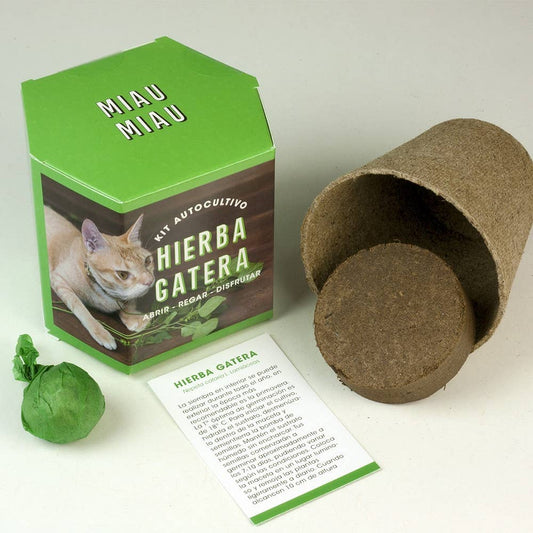 Kit Autocultivo Hierba Gatera🐈
