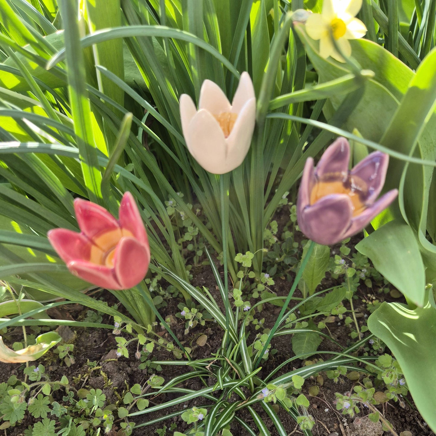 Tulipán de cerámica con tallo para plantas
