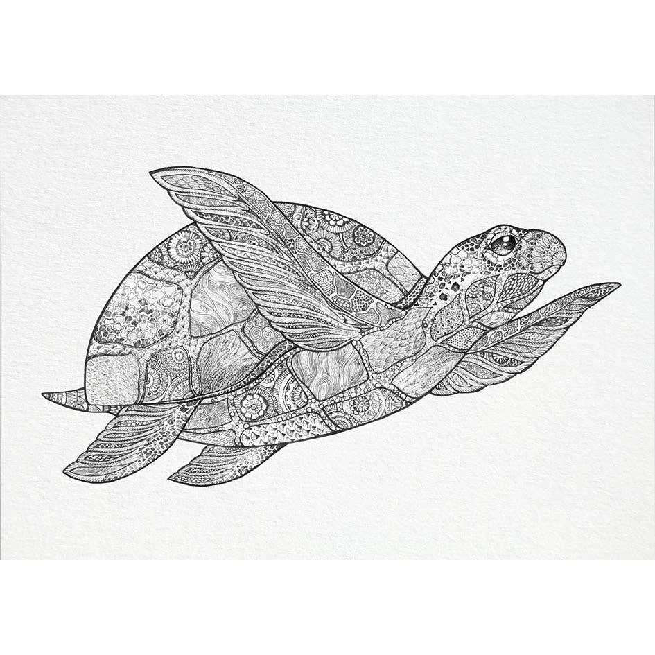 Postal – Tortuga