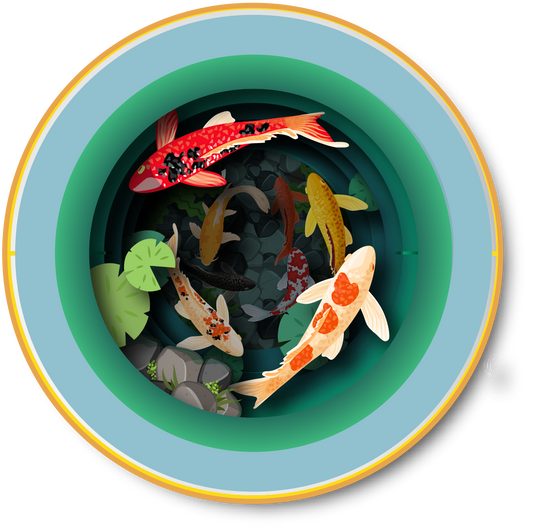 Tarjeta emergente de una taza de té - Peces KOI