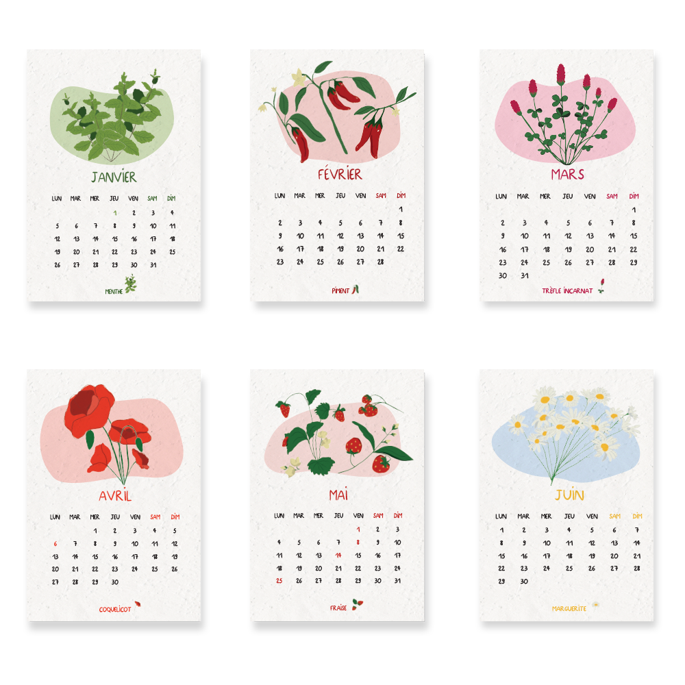 Calendario para plantar 2026, Jardín del tiempo