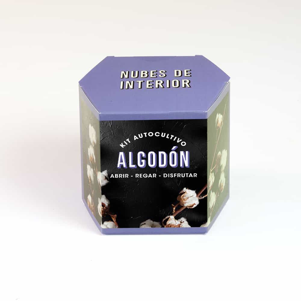 Kit Autocultivo Algodón