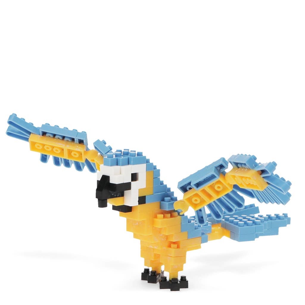 Construye tu propio kit de modelo de animal - Guacamayo
