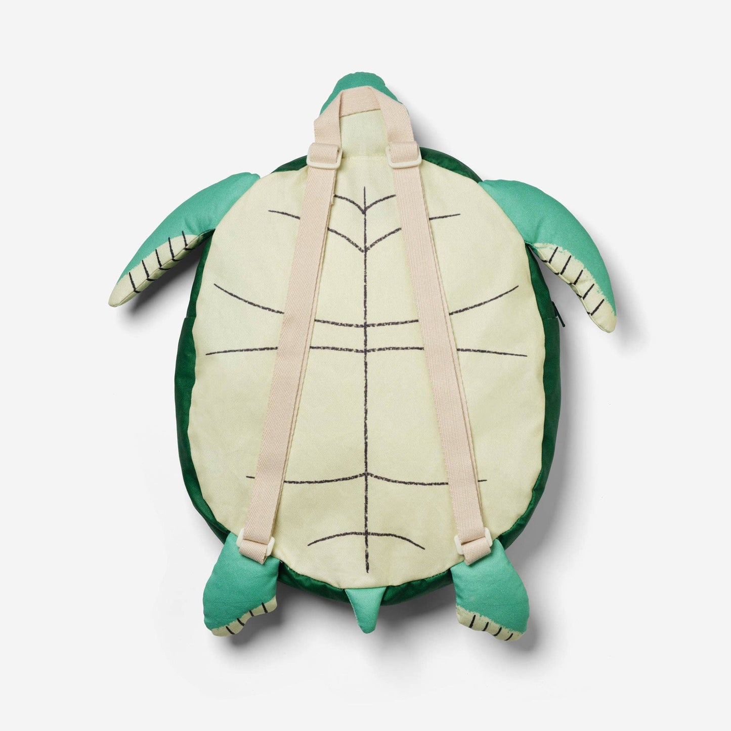 Tortuga - Niño