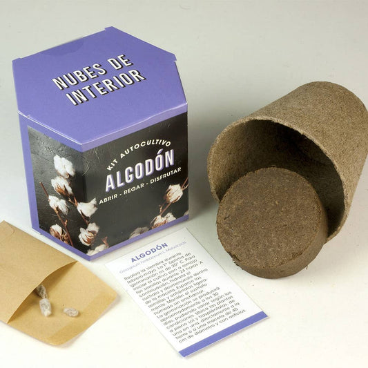 Kit Autocultivo Algodón