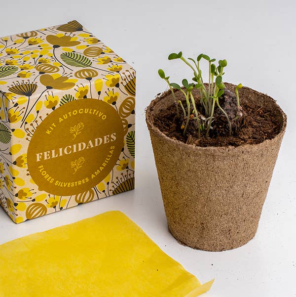 Díselo con flores "Felicidades"💐