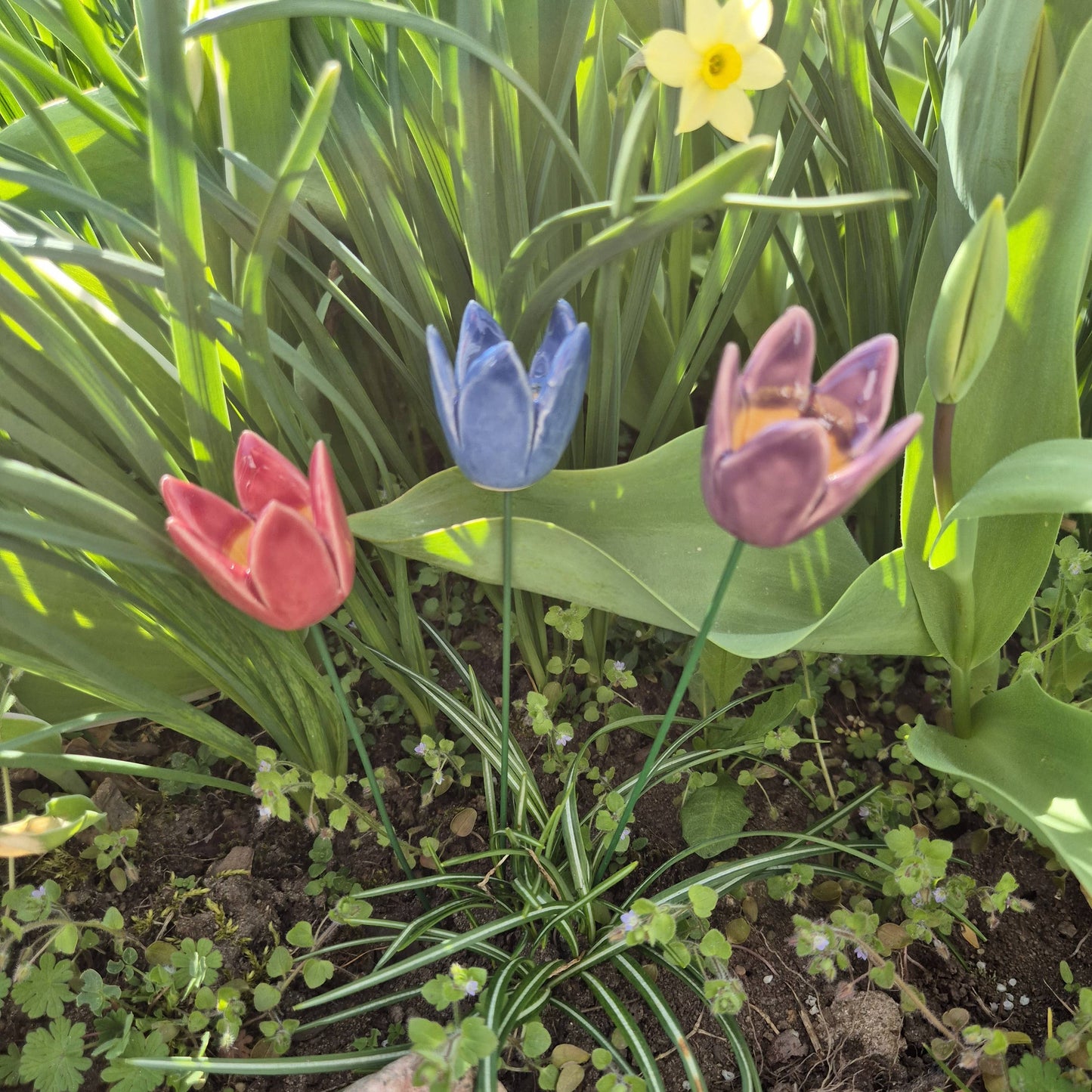 Tulipán de cerámica con tallo para plantas