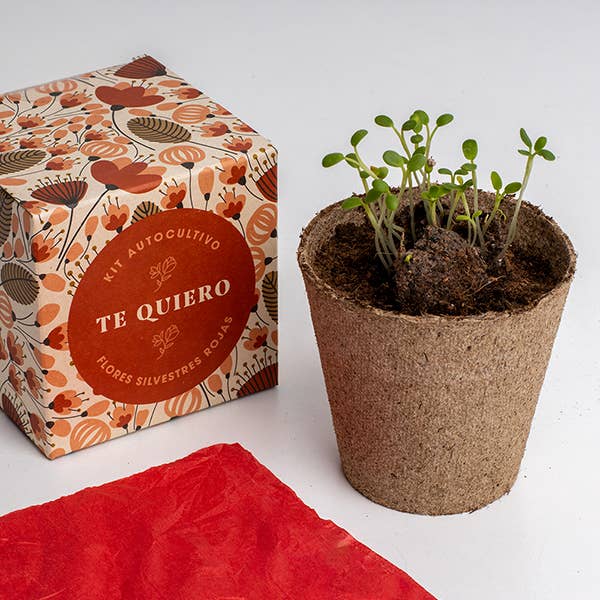 Díselo con flores "Te Quiero"💐