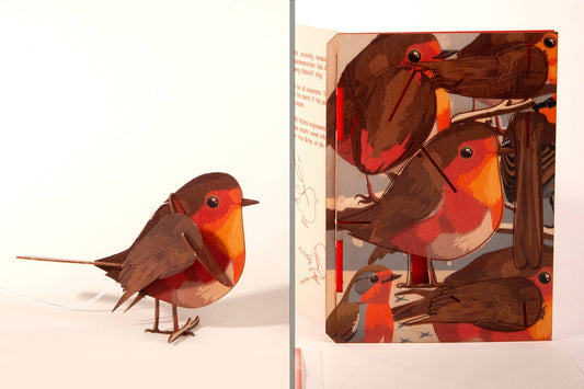 Tarjeta decorativa 3D de petirrojo