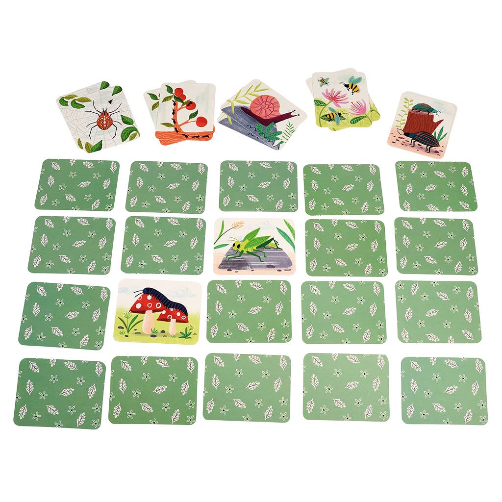 Juego de memoria (30 piezas) - Maravillas de la naturaleza