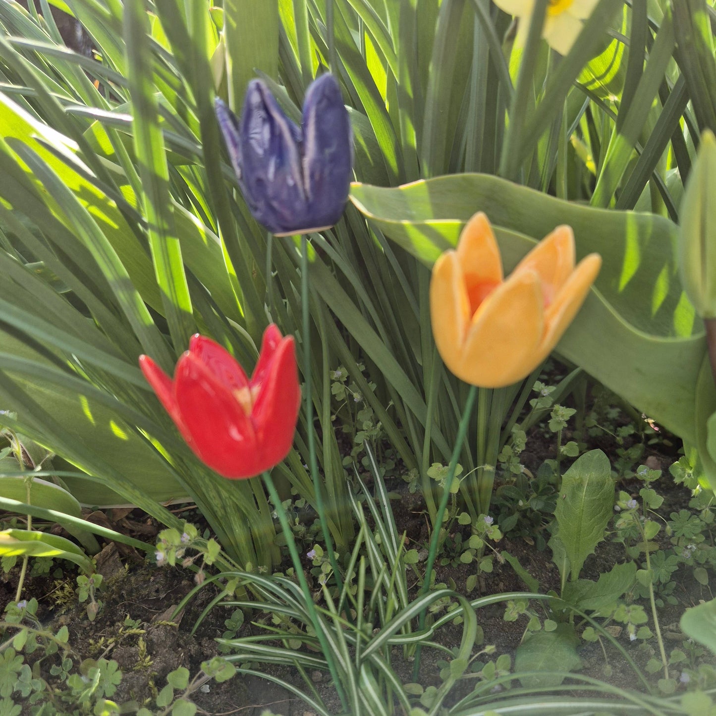 Tulipán de cerámica con tallo para plantas