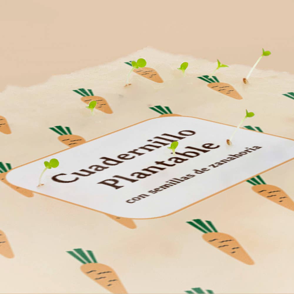 Cuadernillo Plantable Zanahoria🥕