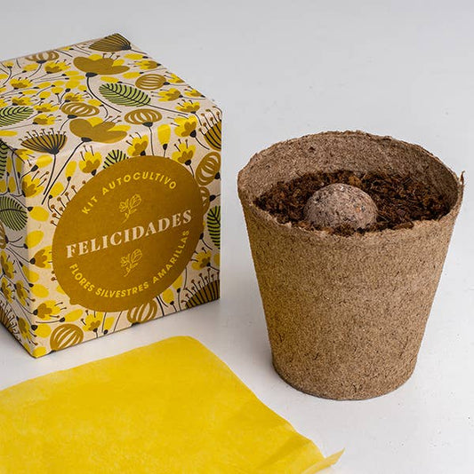 Díselo con flores "Felicidades"💐