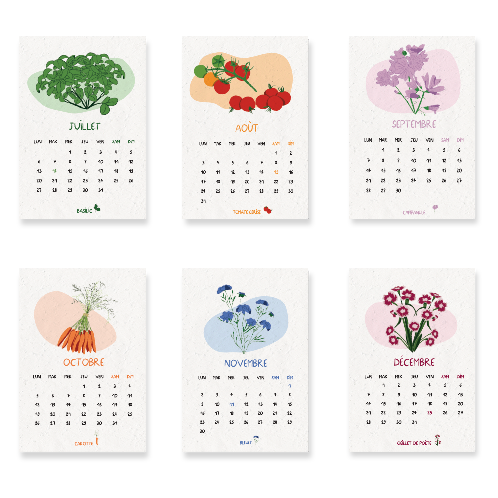 Calendario para plantar 2026, Jardín del tiempo