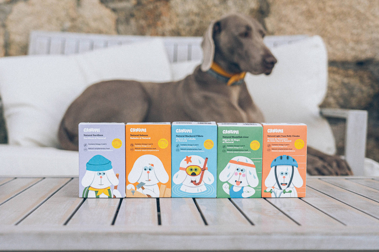 PACK  PERROS