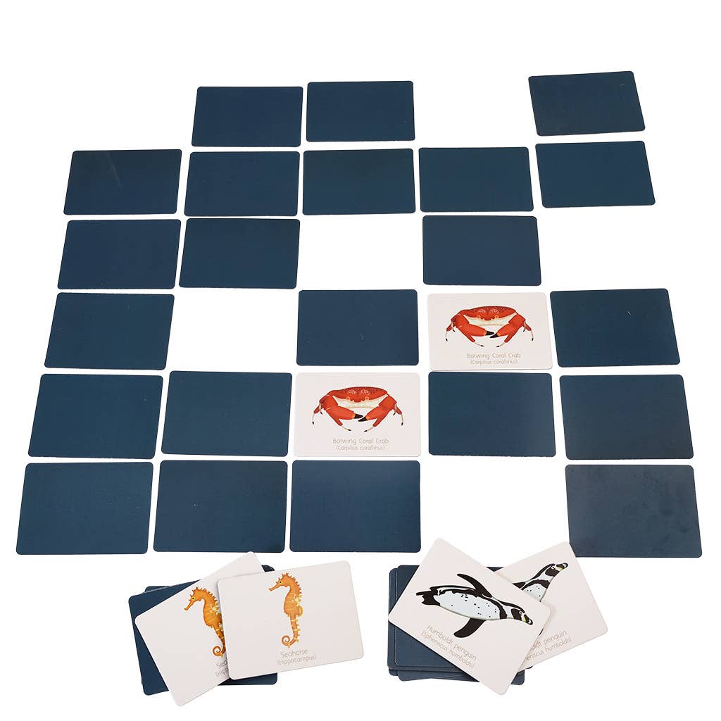 Juego de memoria del océano (40 piezas)