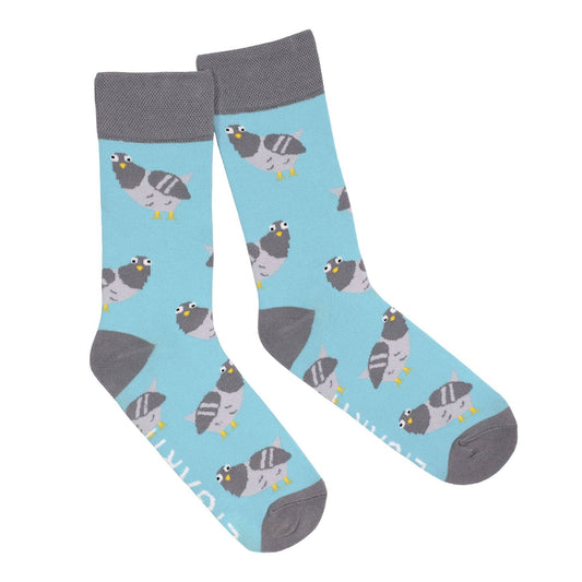 Socks – Claude la paloma