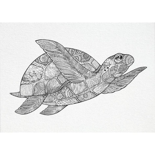 Postal – Tortuga