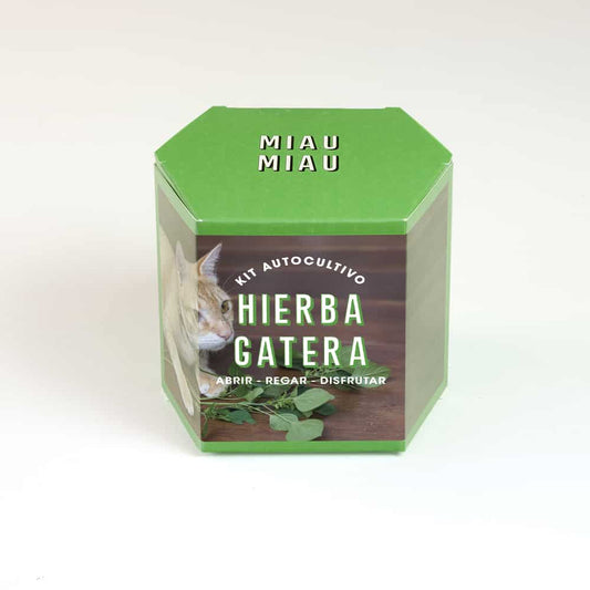 Kit Autocultivo Hierba Gatera🐈
