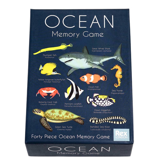 Juego de memoria del océano (40 piezas)