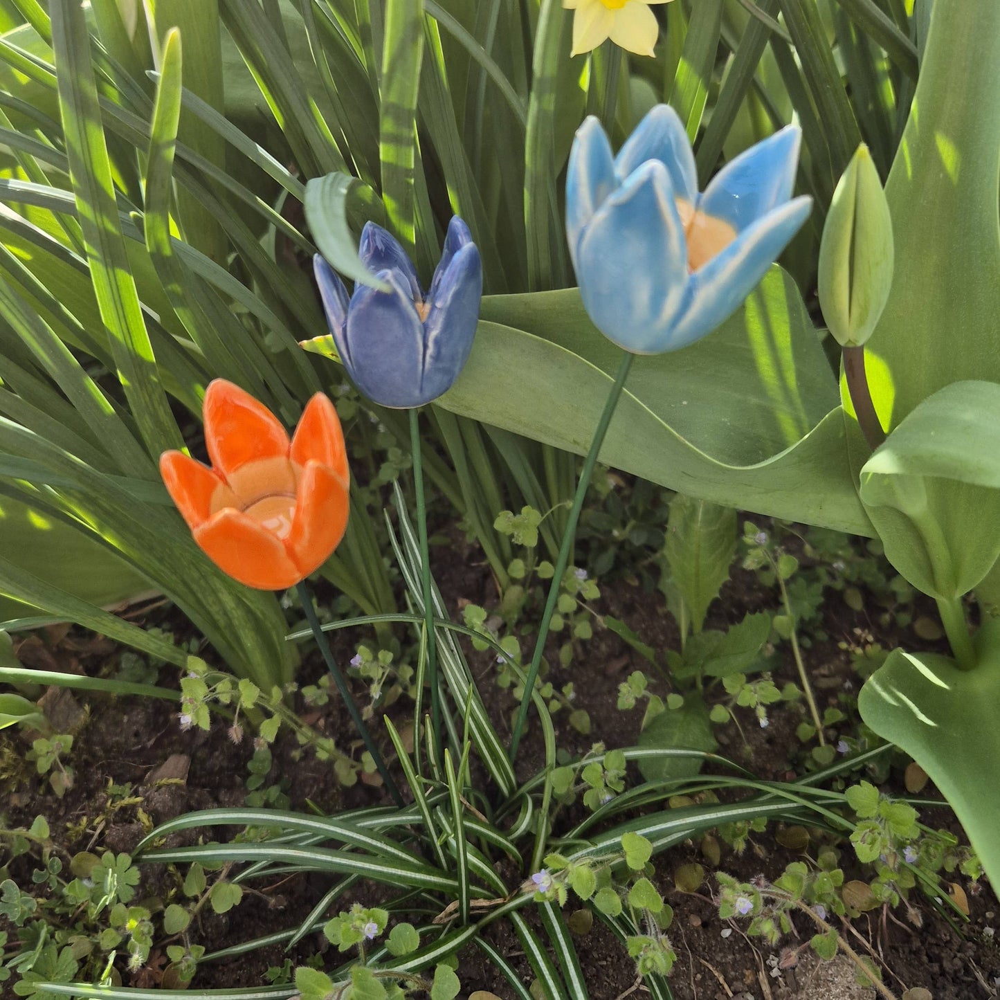 Tulipán de cerámica con tallo para plantas