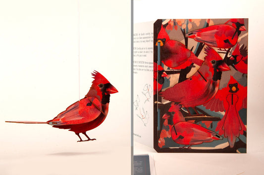 Tarjeta de felicitación decorativa Cardinal 3D (copia)