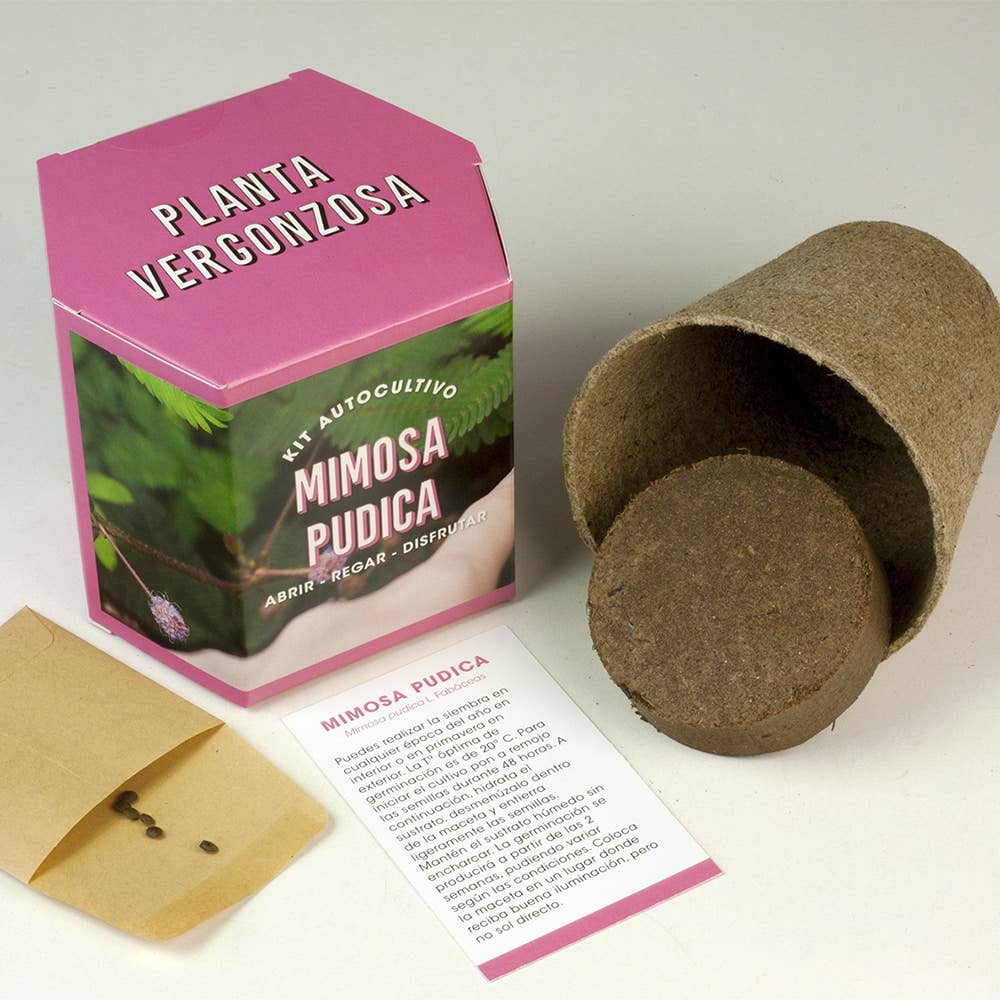 Kit Autocultivo Planta Vergonzosa🌸