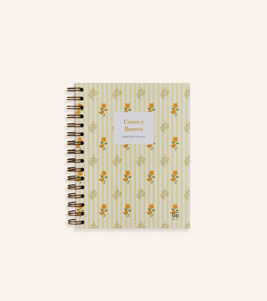 Mini Organizador Semanal “Crece Y Florece”