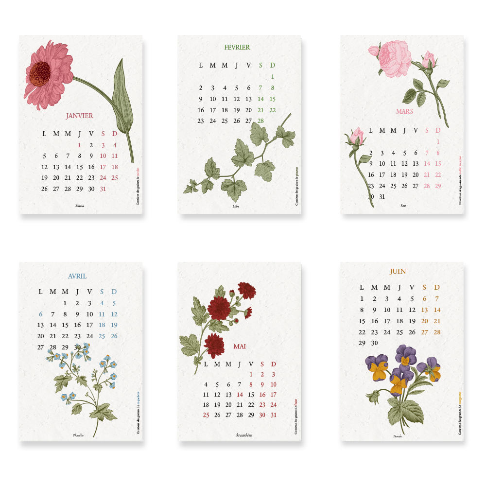 Calendario para plantar 2026, Biodiversidad, Gran formato
