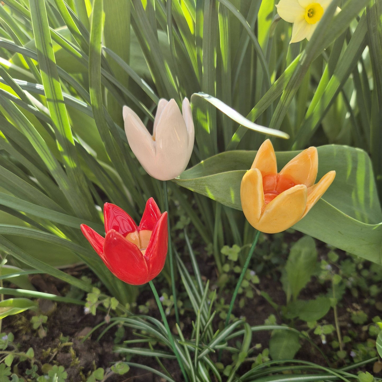 Tulipán de cerámica con tallo para plantas