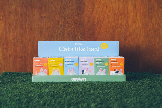 PACK  GATOS