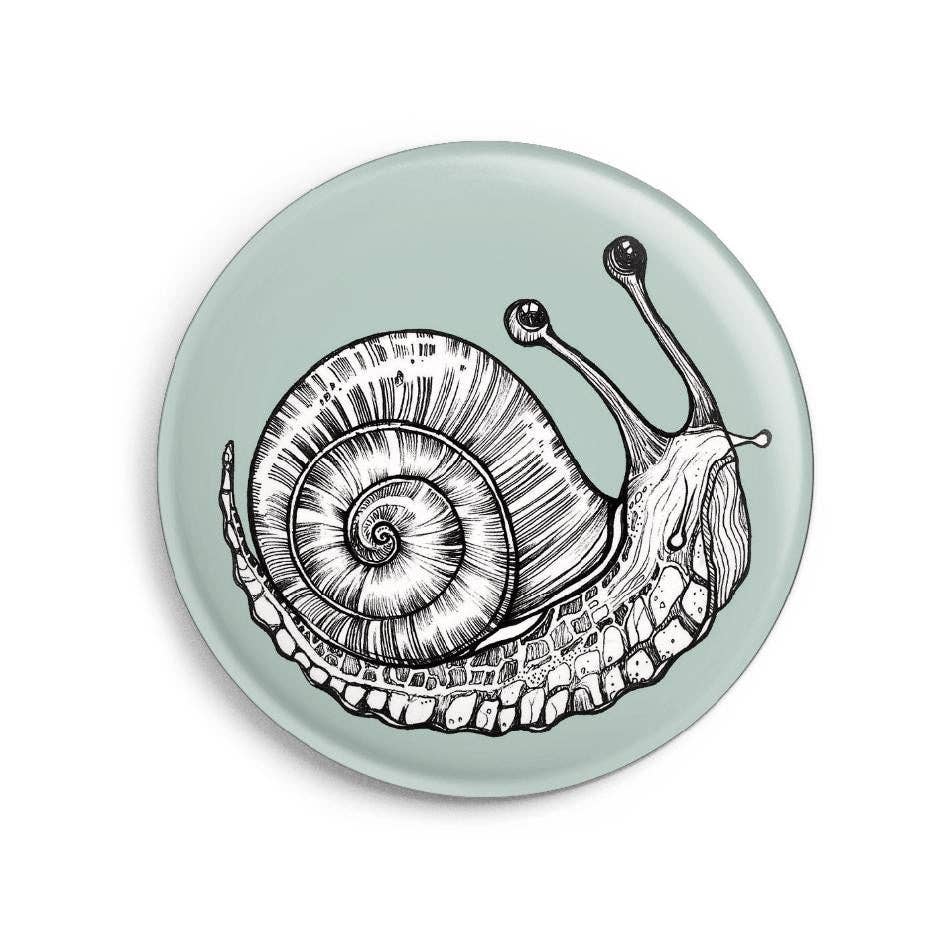Imán – Caracol