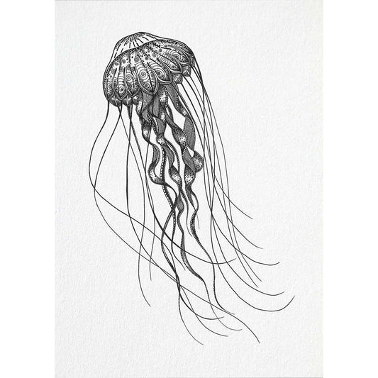 Postal – Medusa de aguas profundas